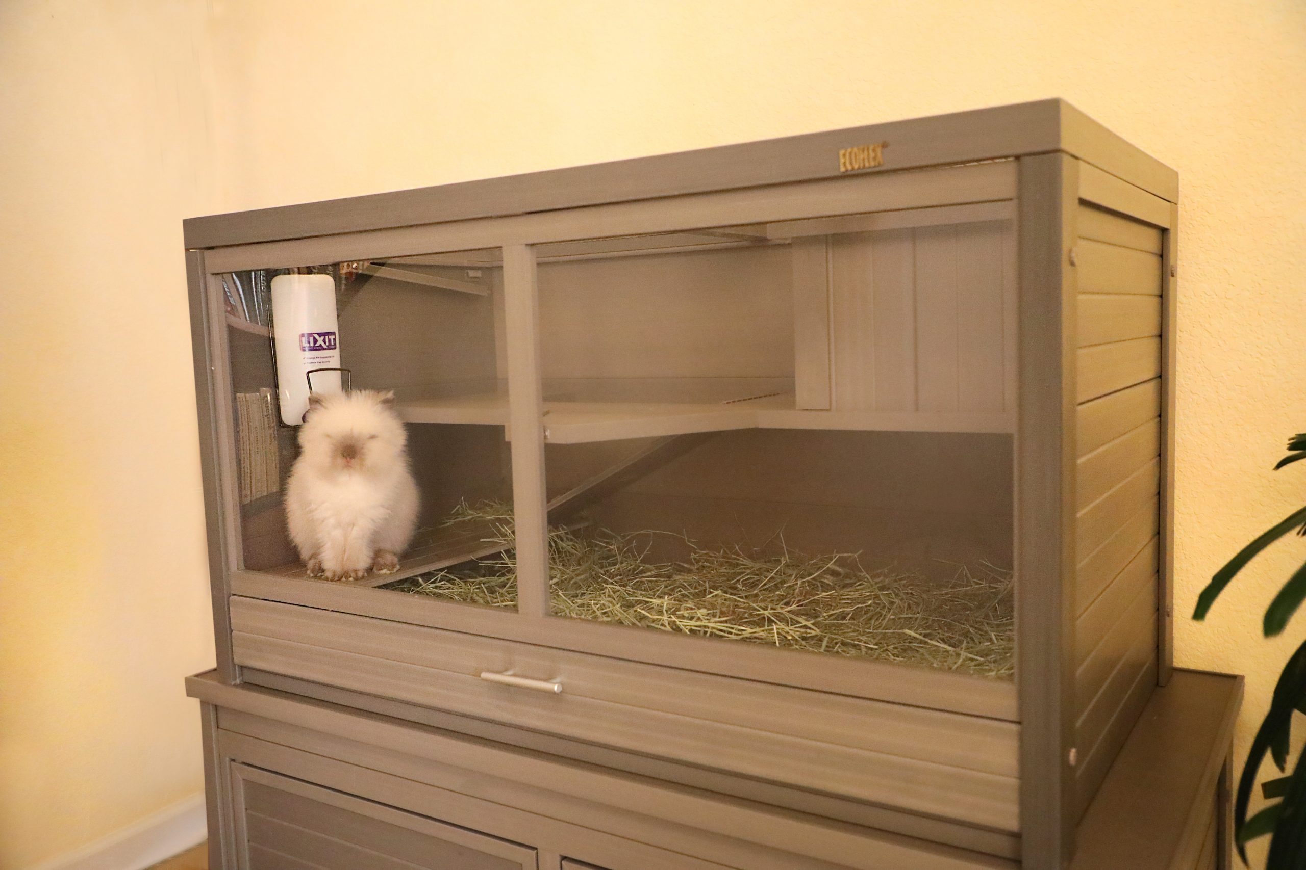 Jumbo Park Avenue Small Animal Hutch Jumbo Park Avenue Small Animal Hutch