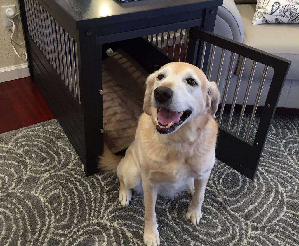 Welcome Home: How to Crate Train Your New Dog or Puppy